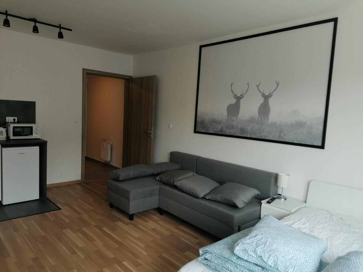 Brand New Studio Apartment #51 With Free Secure Parking In The Center Praga Exterior foto